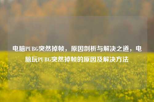 电脑PUBG突然掉帧，原因剖析与解决之道，电脑玩PUBG突然掉帧的原因及解决方法