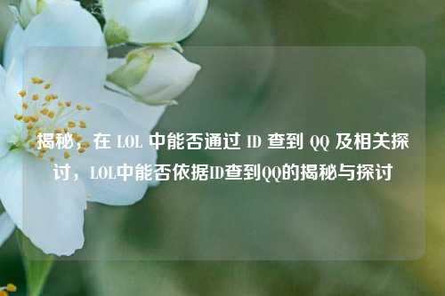 揭秘，在 LOL 中能否通过 ID 查到 QQ 及相关探讨，LOL中能否依据ID查到QQ的揭秘与探讨