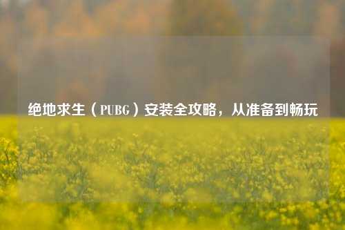 绝地求生(PUBG)安装全攻略,从准备到畅玩