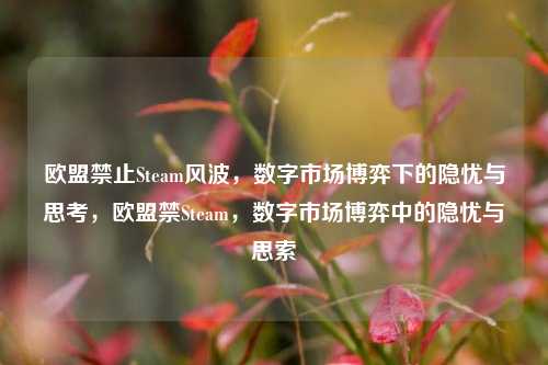欧盟禁止Steam风波，数字市场博弈下的隐忧与思考，欧盟禁Steam，数字市场博弈中的隐忧与思索