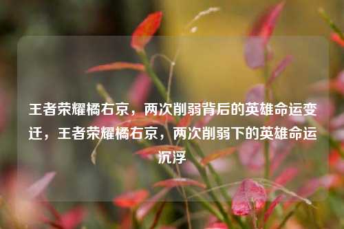 王者荣耀橘右京，两次削弱背后的英雄命运变迁，王者荣耀橘右京，两次削弱下的英雄命运沉浮