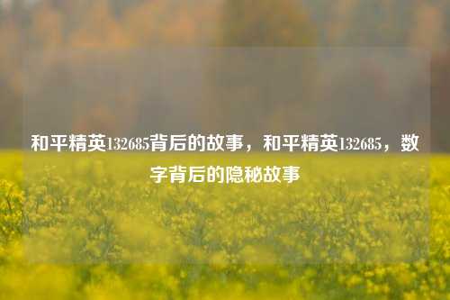 和平精英132685背后的故事，和平精英132685，数字背后的隐秘故事