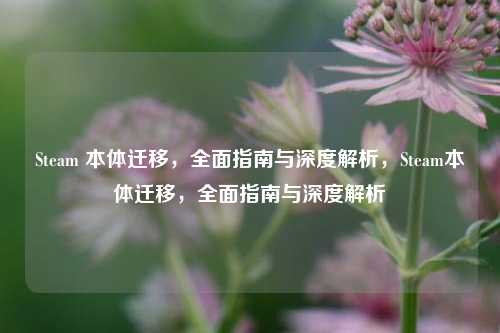 Steam 本体迁移,全面指南与深度解析,Steam本体迁移,全面指南与深度解析