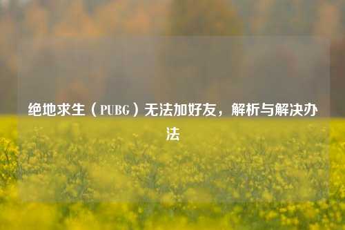绝地求生(PUBG)无法加好友,解析与解决办法