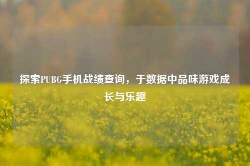 探索PUBG手机战绩查询,于数据中品味游戏成长与乐趣