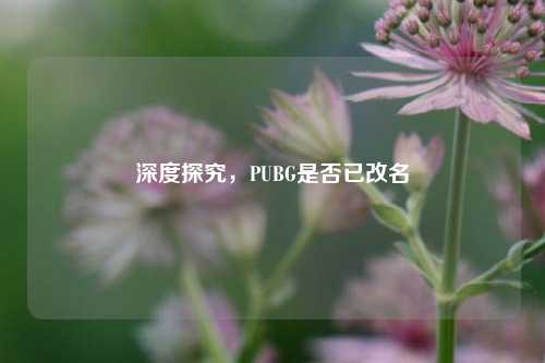 深度探究,PUBG是否已改名