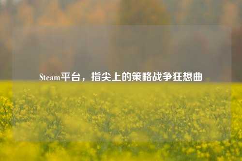 Steam平台,指尖上的策略战争狂想曲