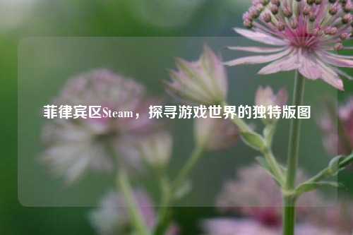 菲律宾区Steam,探寻游戏世界的独特版图