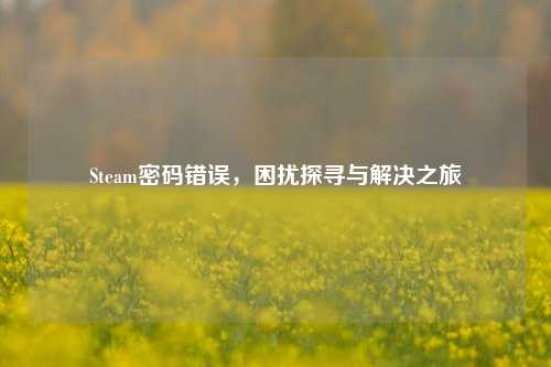 Steam密码错误,困扰探寻与解决之旅
