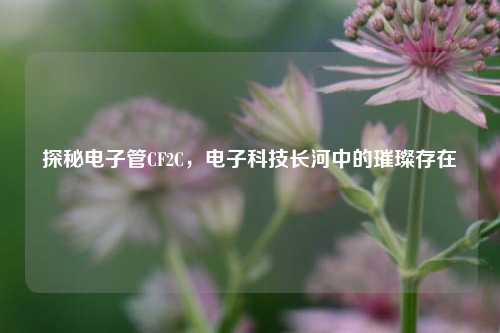 探秘电子管CF2C，电子科技长河中的璀璨存在