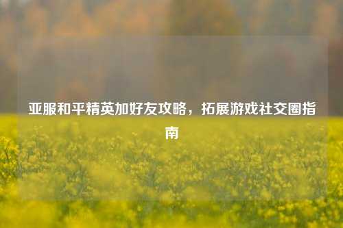 亚服和平精英加好友攻略,拓展游戏社交圈指南