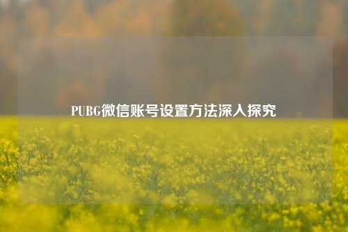 PUBG微信账号设置方法深入探究