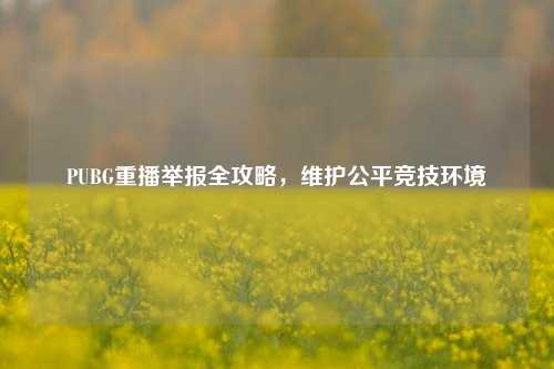 PUBG重播举报全攻略,维护公平竞技环境