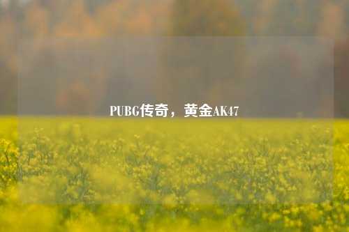 PUBG传奇,黄金AK47