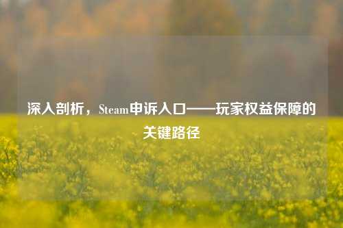 深入剖析，Steam申诉入口——玩家权益保障的关键路径
