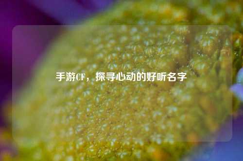 手游CF,探寻心动的好听名字