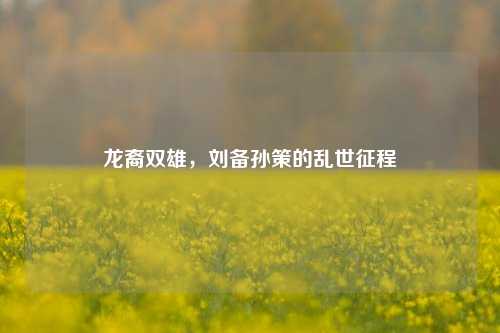 龙裔双雄,刘备孙策的乱世征程