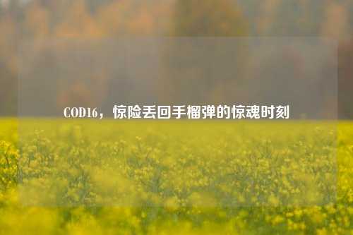COD16，惊险丢回手榴弹的惊魂时刻